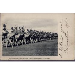 Bikaneer Camel Corp Delhi Coronation Durbar 1905 Carte n'ayant pas voyagé