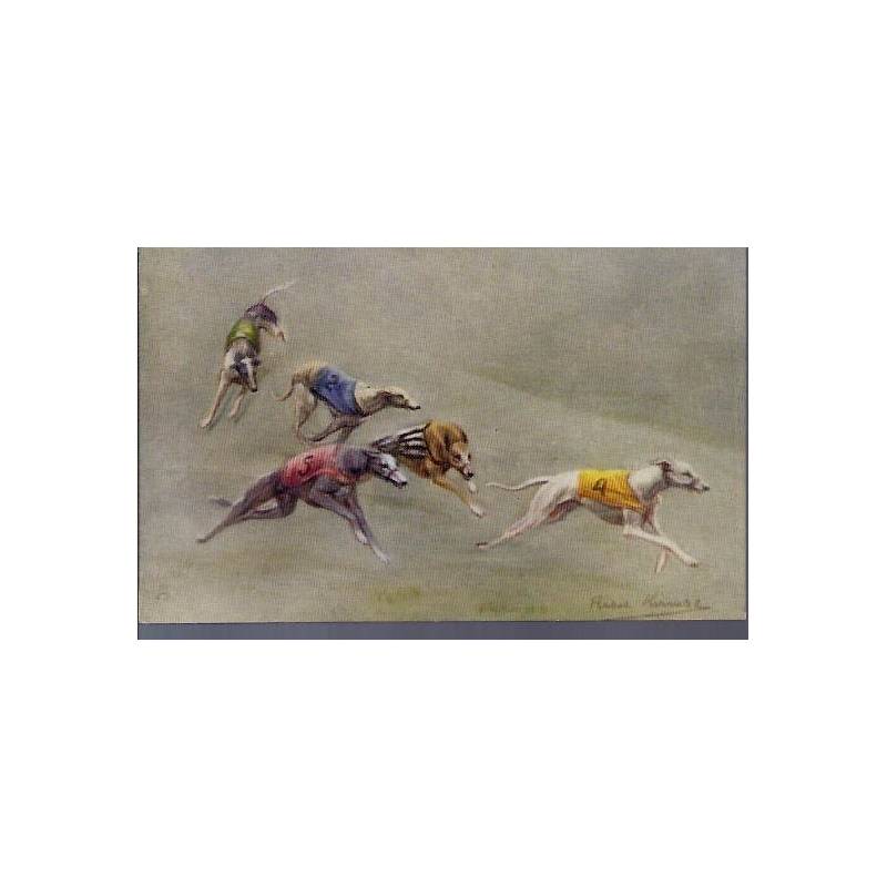 Course de lévriers - Dernier virage - Couleur - Rare - Greyhound Racing