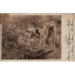 2 Barzoïs - L'Idylle par Stanley Berkele - 1904