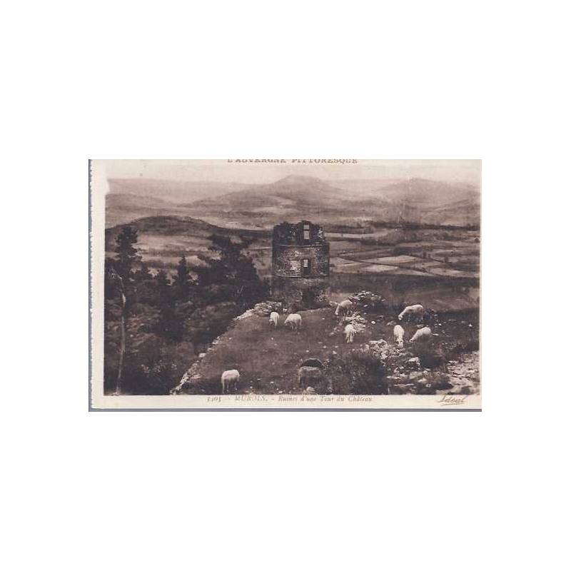 03 - Murols - Ruines d'une tour du chateau