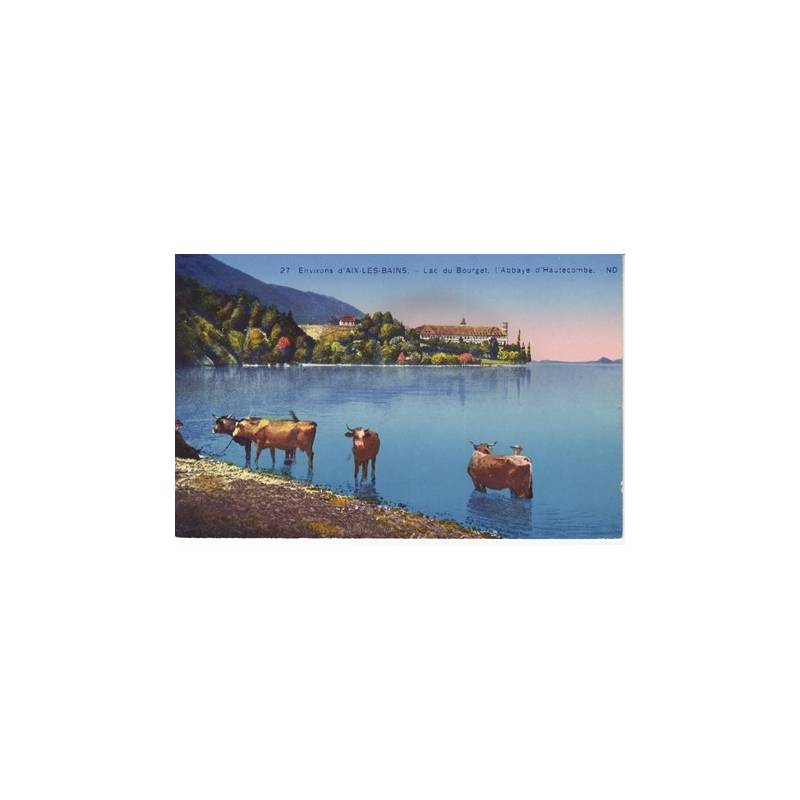 73 - Vaches au lac du Bourget