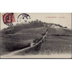 69 - Le Mont-Cindre - Le Grapillon