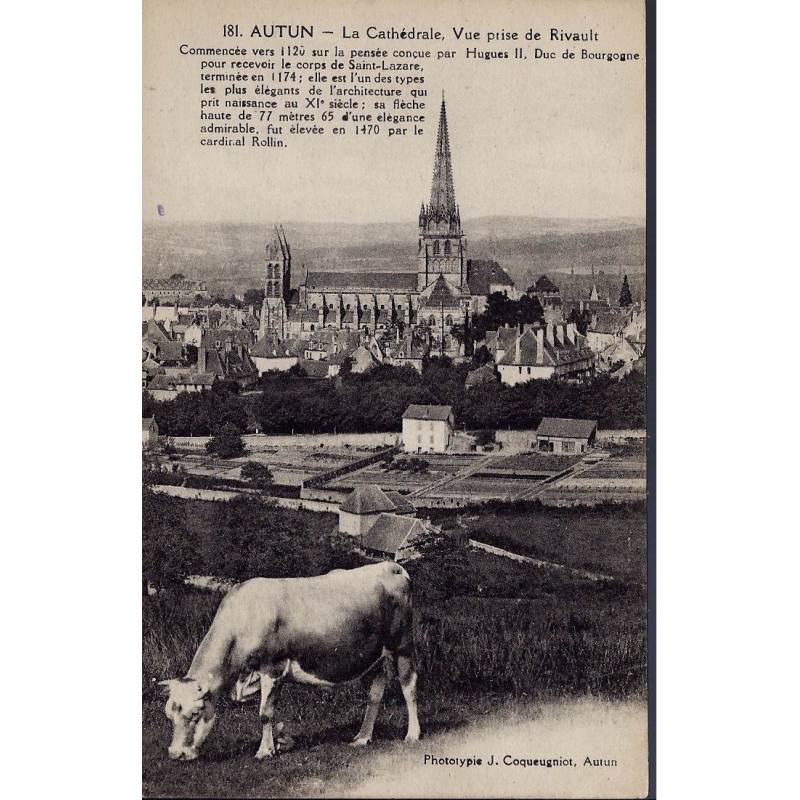 71 - Autun -La cathédrale prise de Rivault - Vache