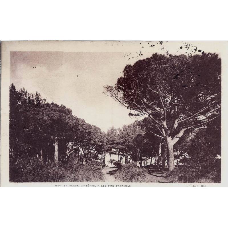 83 - Plage d'Hyeres - Les pins parassols