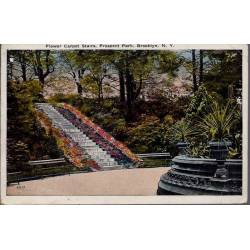 USA - Brooklyn N.Y. - Flower Carpet stairs