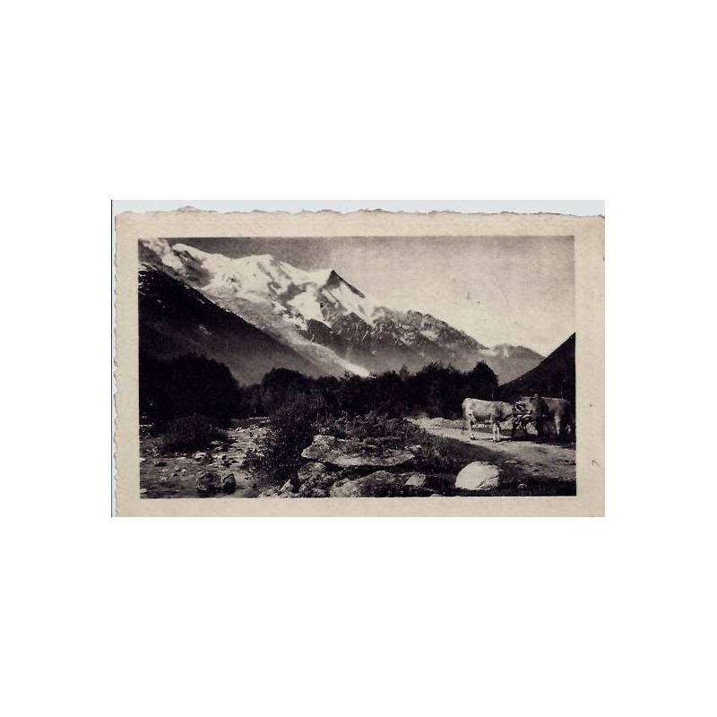 74 - Chamonix - Le Mont-Blanc - Non voyagé - Dos divisé