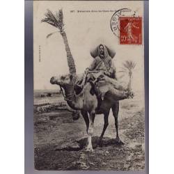 Algérie - Méhariste dans les oasis du sud algérien - Beau plan - 1907