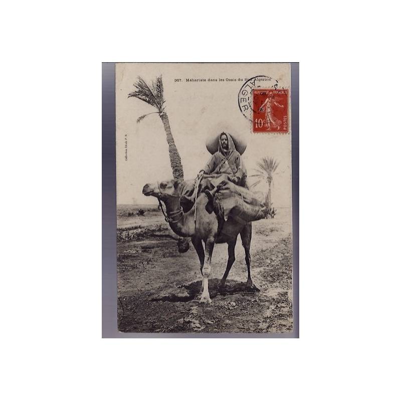 Algérie - Méhariste dans les oasis du sud algérien - Beau plan - 1907