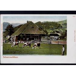 Allemagne - Schwarzwaldhaus - Vaches