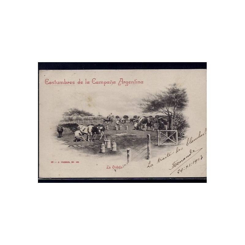 Argentine - Costumbres de la campana Argentina - La Ordena - La traite des vaches - 1903